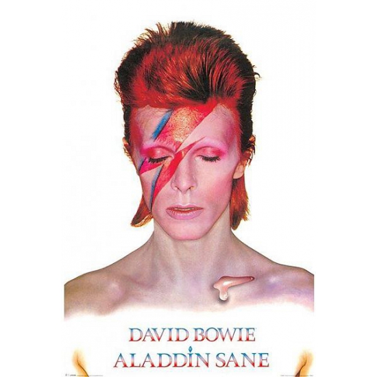 Poster David Bowie Aladdin Sane 61 x 91,5 cm - Action products