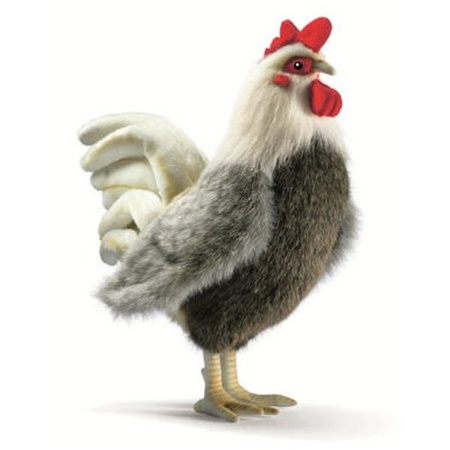 Pluch cuttle rooster/chicken 30 cm