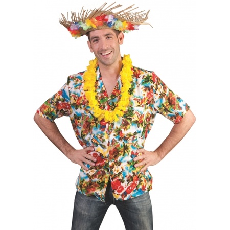 Carnavalskostuum Hawaii blouse Kauai