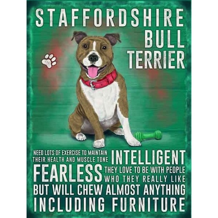 Bull Terrier ouderwetse metalen poster