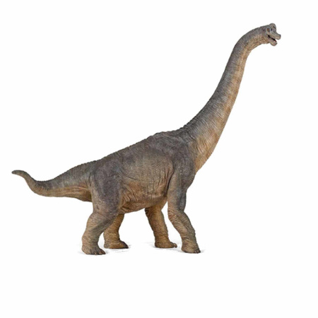 Plastic braciosaurus dinosaurus 39,5 cm - Action - Primodo