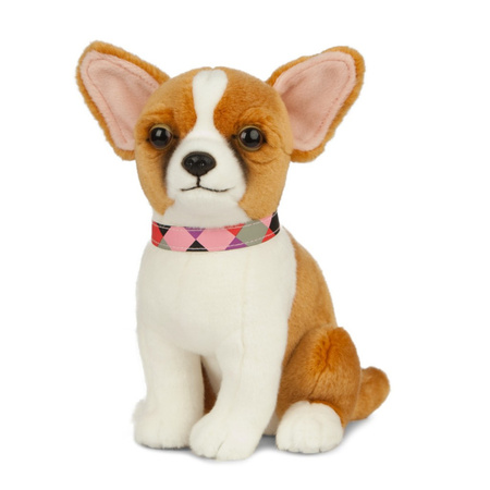 Niet meer geldig sympathie element Pluche Chihuahua honden knuffel 20 cm speelgoed - Primodo warenhuis