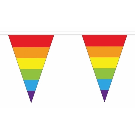 Polyester vlaggenlijn regenboog vlaggetjes 20 meter