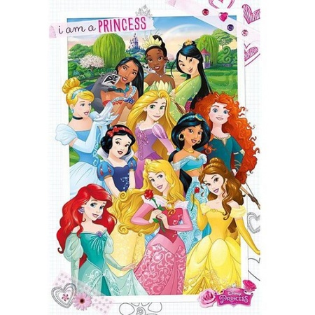 Poster Disney prinsessen 61 x 91,5 cm  - Action products