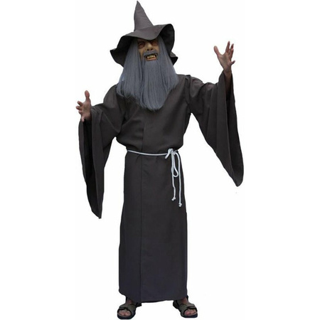 Wizards costume Merlin